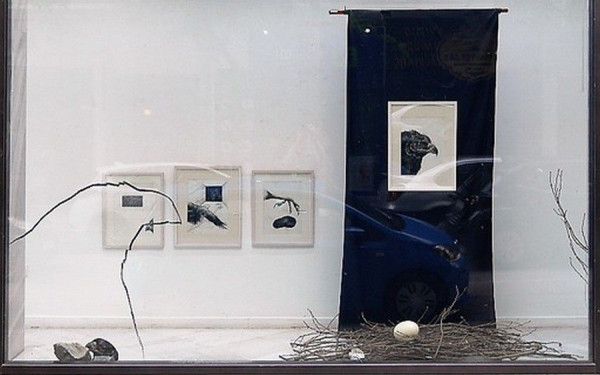 Θεσσαλονίκη: Πτηνά «έχτισαν» φωλιές στις Βιτρίνες Τέχνης του ΟΤΕ