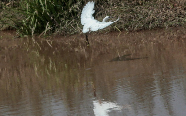 Θεσσαλονίκη: Κάθισαν στα θρανία για την επιμόρφωση σε ποτάμια οικοσυστήματα