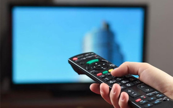 Alpha: Ετοιμάζει τις δικές του... Άγριες Μέλισσες