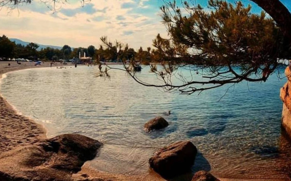 Χαλκιδική: Θα ανοίξει τελικά το κάμπινγκ Πλατανίτσι; - Τι απαντά ο Δήμαρχος