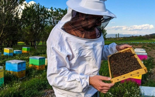 Χωρίς μέλι λόγω βροχών η Κεντρική Μακεδονία (φωτ.)