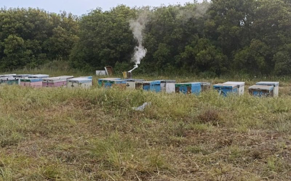  Αυγενάκης: Γνωρίζω τα προβλήματα των μελισσοκόμων - Χρειάζονται ουσιαστική στήριξη 