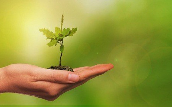 Δήμος Θέρμης: Το Σάββατο 1 Ιουλίου τα «Εαρινά» στους Ταγαράδες