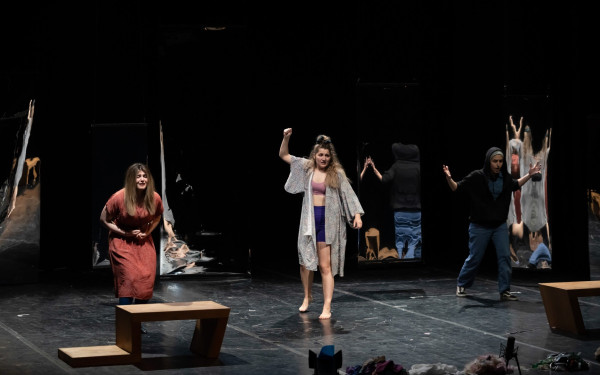 Νέες παραστάσεις λόγω επιτυχίας για το βραβευμένο «Swallow»