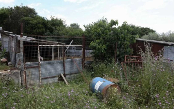 Καβάλα: «Μου έλεγε ότι θα την σκοτώσει» - Ο αδερφός της 68χρονης βάζει στο κάδρο τον σύζυγο 