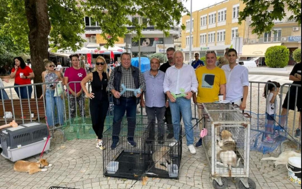 Κομοτηνή: Η κεντρική πλατεία γέμισε κουταβάκια που ζητούν σπίτι (φωτ.) 