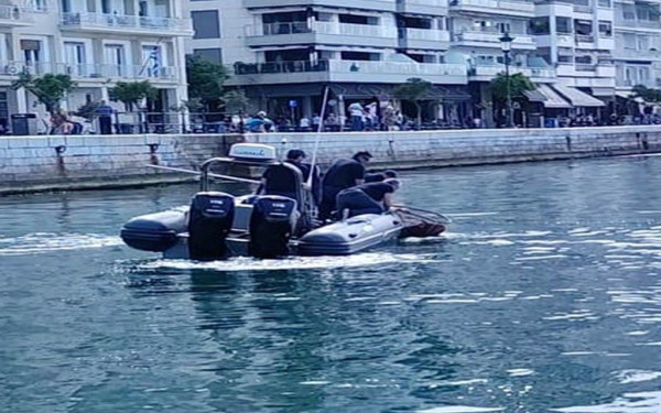 Θεσσαλονίκη: Διάσωση χελώνας από το λιμενικό στην παλιά παραλία