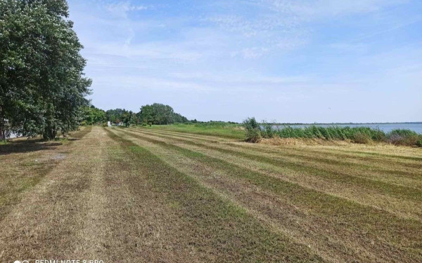 Αποψιλώσεις, καθαρισμοί και κλάδεμα δέντρων στον δήμο Πύδνας Κολινδρού (φωτ.)