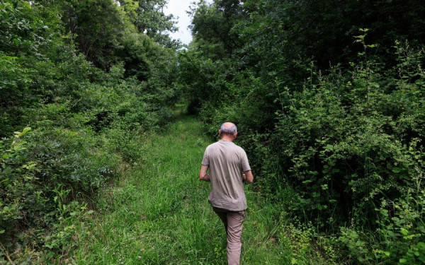 Κιλκίς: Απαγόρευση κυκλοφορίας πεζών και οχημάτων σε δάση και ευπαθείς περιοχές