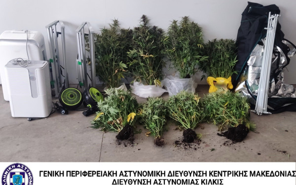 Θεσσαλονίκη: Καλλιεργούσε... κάνναβη στο σπίτι του (βίντεο)