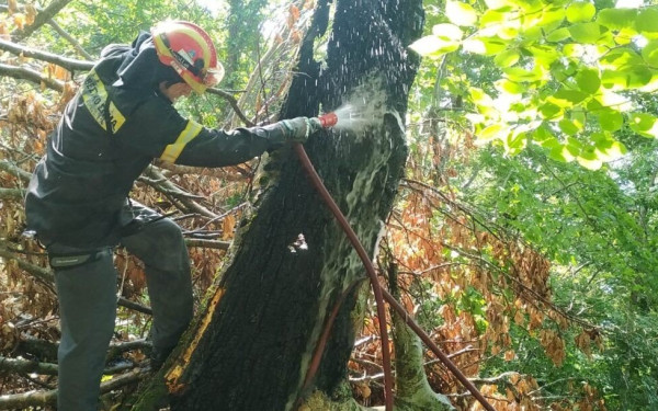 Σέρρες: Στο Μπέλες η πρώτη πυρκαγιά του καλοκαιριού (φωτ.)