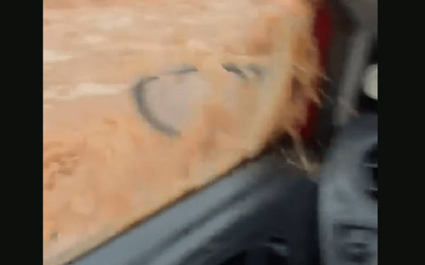 Βίντεο: Τρόμος για οδηγό στη Χαλκιδική - Ορμητικός χείμαρρος παρασέρνει το ΙΧ του