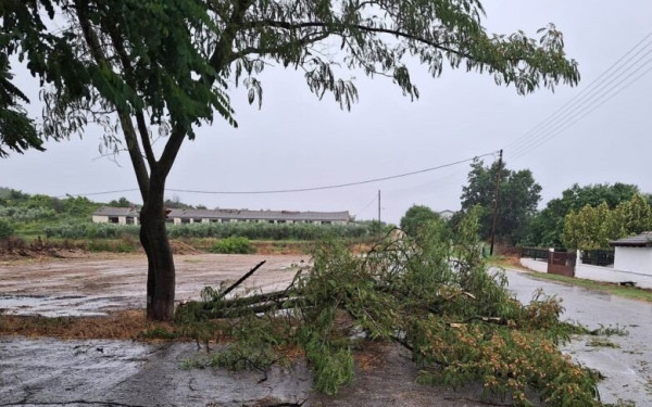 Σέρρες: Χαμός από το ξαφνικό μπουρίνι - Ξεχείλισαν φρεάτια, δεκάδες κλήσεις στην Πυροσβεστική (βίντεο, φωτ.)