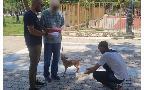 Θεσσαλονίκη: 22 πρόστιμα για τα ζώα συντροφιάς τον Ιούνιο