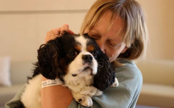 Βέλγιο: Νοσοκομείο πρωτοπορεί και επιτρέπει τις επισκέψεις των κατοικίδιων στους ασθενείς (φωτ.)