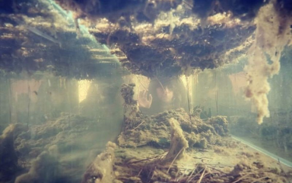  «Επόμενη Στάση: Απολυμαντήρια» - Μία περιπατητική δράση στην Καλαμαριά ξυπνά «φαντάσματα» του παρελθόντος