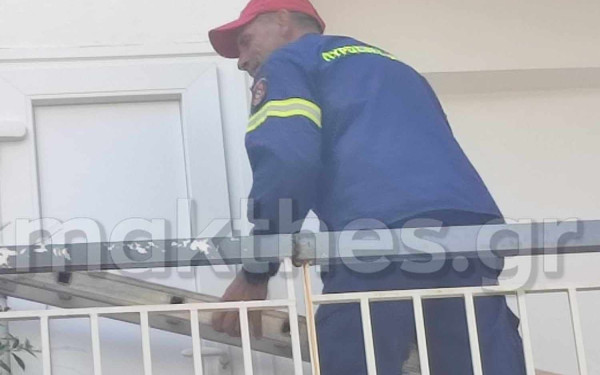 Καλαμαριά: Πυροσβέστες έσωσαν γατάκι που παγιδεύτηκε σε άδειο διαμέρισμα (βίντεο, φωτ.)