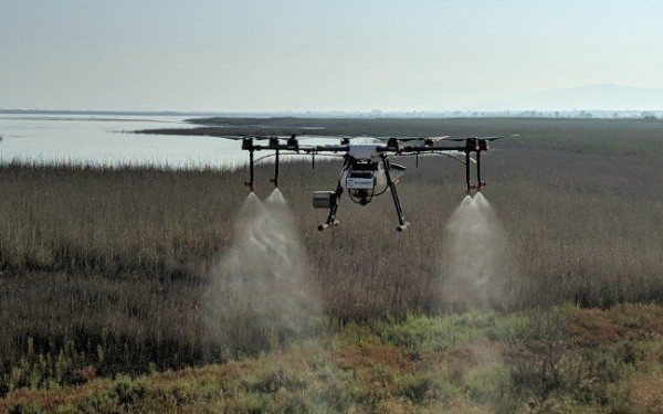 Θεσσαλονίκη: Χαμηλότερα επίπεδα κυκλοφορίας του ιού του Δυτικού Νείλου φέτος