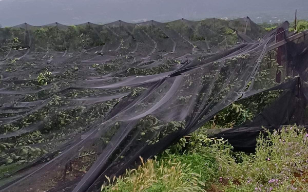 Βελβεντό Κοζάνης: Καταστράφηκαν καλλιέργιες από το μπουρίνι (φωτ.)