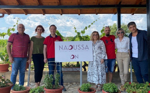 Νάουσα: Πλούσιες εκδηλώσεις με πρωταγωνιστή το κρασί στο 3ο Φεστιβάλ Τρύγου