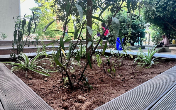 Θεσσαλονίκη: Μια δροσερή γωνιά για τους φοιτητές του ΠΑΜΑΚ (φωτ.)