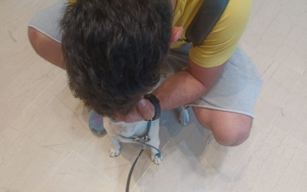 Θεσσαλονίκη: Σκύλος και κηδεμόνας ξανασμίγουν μετά από πέντε χρόνια (βίντεο)