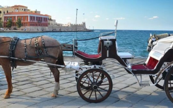 Χανιά: Συγκέντρωση διαμαρτυρίας για την εκμετάλλευση των αλόγων - «Τέλος στις άμαξες της ντροπής» (βίντεο, φωτ.)