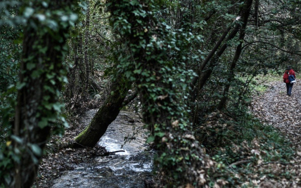 Χαλκιδική: Απαγόρευση κυκλοφορίας λόγω κινδύνου εκδήλωσης πυρκαγιάς - Σε ποιές περιοχές