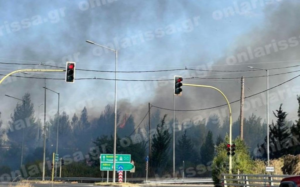 Λάρισα: Υπό πλήρη έλεγχο η φωτιά στον κόμβο Πλατυκάμπου στην Ε.Ο.