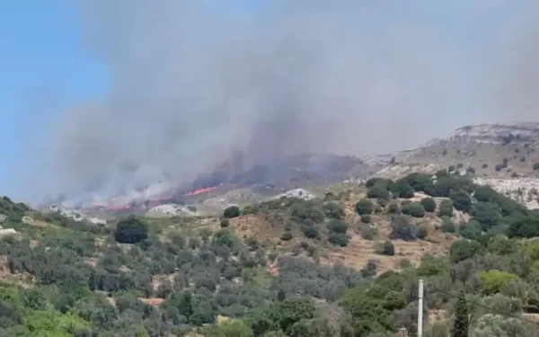 Μεγάλη φωτιά στη Νάξο - Στη μάχη και ενισχύσεις από Σύρο και Αθήνα (βίντεο)