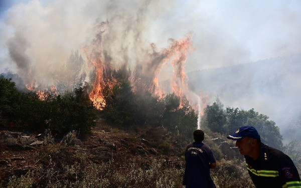 Γρεβενά: Αναζωπυρώθηκε η φωτιά στην Δεσκάτη 
