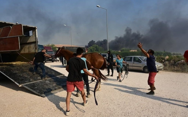 Έκκληση του υπουργείου Εσωτερικών στους πολίτες να μην αφήνουν στην τύχη τους τα ζώα τους εν μέσω πυρκαγιών