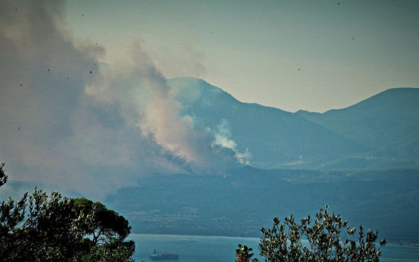 Έπιασε φωτιά και στην Εύβοια - 3 ενεργά μέτωπα