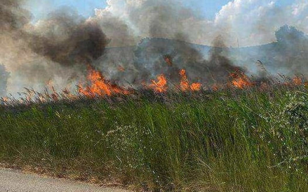 Υπό μερικό έλεγχο η πυρκαγιά στην παραλία Βατοπεδίου στη Χαλκιδική
