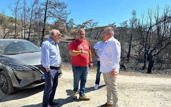 Κλιμάκιο του ΠΑΣΟΚ στις πληγείσες περιοχές της Ρόδου