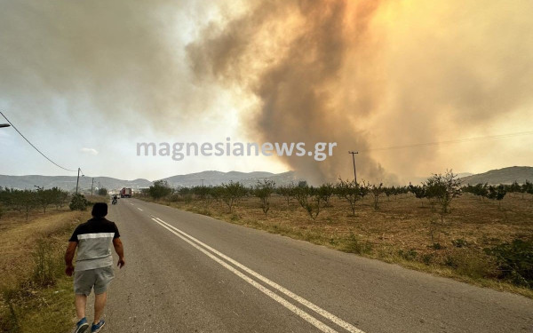 Αγνοείται κτηνοτρόφος στο Πήλιο - Έσπευσε να σώσει τα ζώα του μόλις είδε τη φωτιά