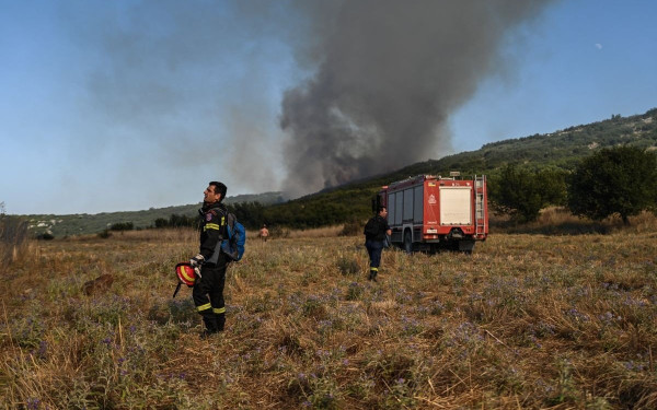 Γρεβενά: Συνελήφθη 74χρονος για εμπρησμό