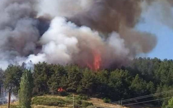 Γρεβενά: Υπό έλεγχο η φωτιά στο πευκοδάσος της Δεσκάτης