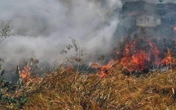 Θεσσαλονίκη: Υπό μερικό έλεγχο η φωτιά στο Φίλυρο (βίντεο)