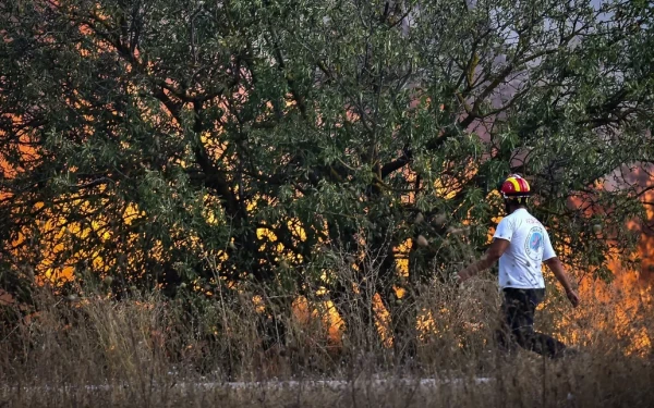 Σε πύρινο κλοιό η Μαγνησία: Ανεξέλεγκτη η πυρκαγιά, νέο μέτωπο στα παράλια