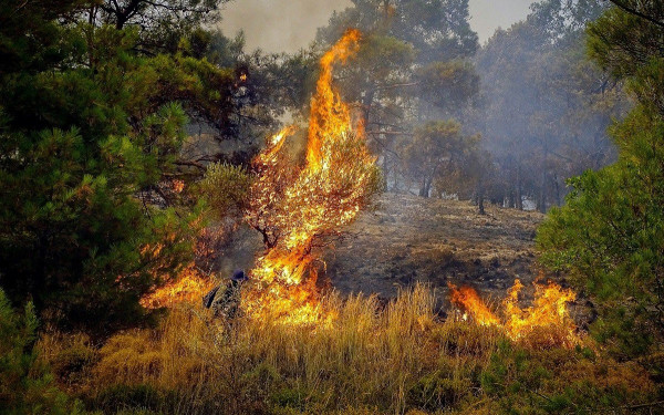 Στη Ρόδο η Όλγα Κεφαλογιάννη