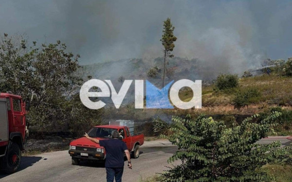 Καθηλωμένα τα επίγεια μέσα στη φωτιά στην Κάρυστο - Στα 10 χιλιόμετρα το ένα από τα πύρινα μέτωπα (βίντεο)