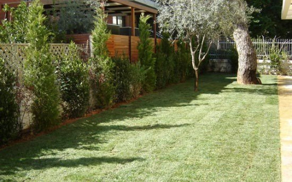 Χαλκιδική: Πότισμα των κήπων τέλος τα Σαββατοκύριακα στο δήμο Προποντίδας