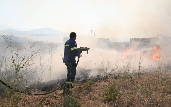 Σε ύφεση τα πύρινα μέτωπα στη Μαγνησία