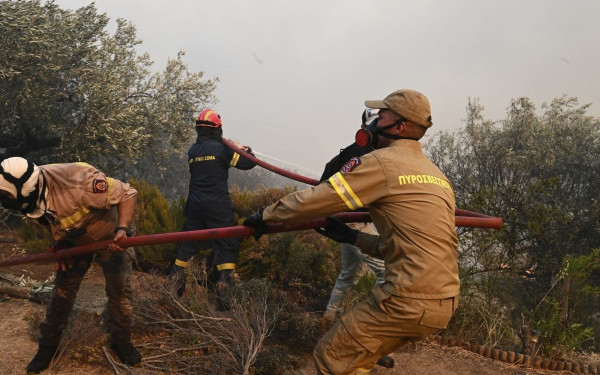 Μαγνησία: Μάχη στις Μικροθήβες μέχρι το πρωί θα δίνει η πυροσβεστική - 2.500 άνθρωποι περνούν τη νύχτα στο εκθεσιακό κέντρο του Βόλου (βίντεο)