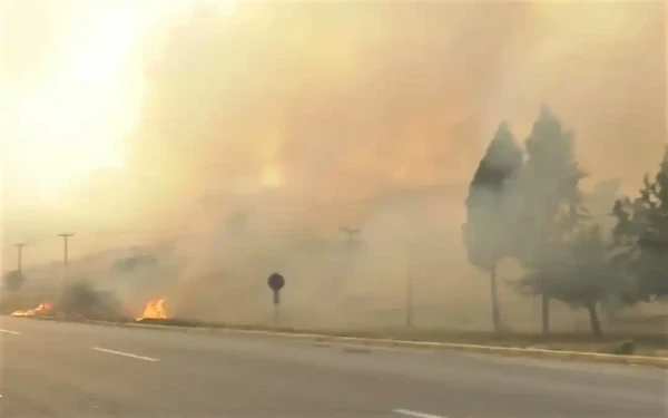 Μαγνησία - πυρκαγιά: Νεκρός ο κτηνοτρόφος που αγνοούνταν 