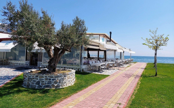 Ένα «Ψαροκόκκαλο» που κερδίζει τις εντυπώσεις στη Γρίτσα Λιτοχώρου