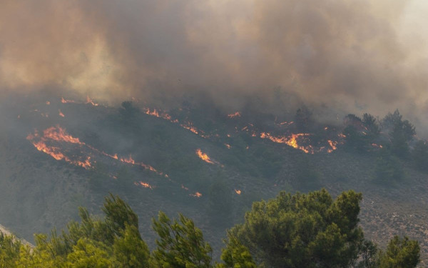 Ευθύμιος Λέκκας: Στα 135 χιλιάδες στρέμματα το «καθαρό» δάσος που κάηκε στη Ρόδο