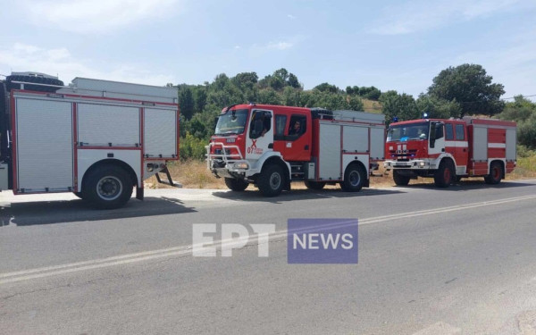 Έφτασαν στην Κέρκυρα οι πυροσβέστες από την Βουλγαρία (φωτ.)