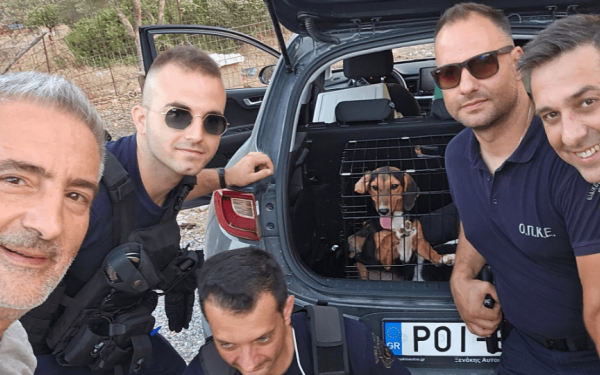 Ρόδος: Αστυνομικοί και εθελοντές έσωσαν σκυλιά που βρίσκονταν σε κλουβιά ενώ μαίνεται η πυρκαγιά (βίντεο)